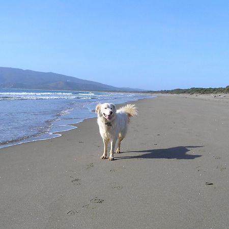 Agriturismo Grazia Orbetello Dış mekan fotoğraf