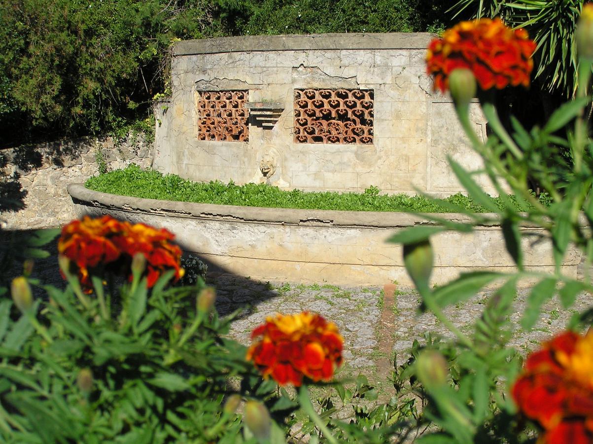 Agriturismo Grazia Orbetello Dış mekan fotoğraf
