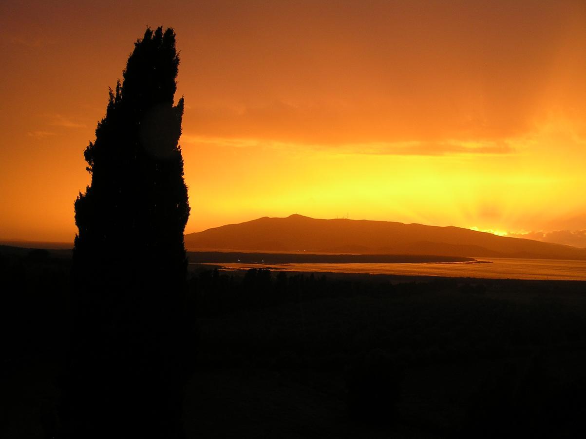 Agriturismo Grazia Orbetello Dış mekan fotoğraf